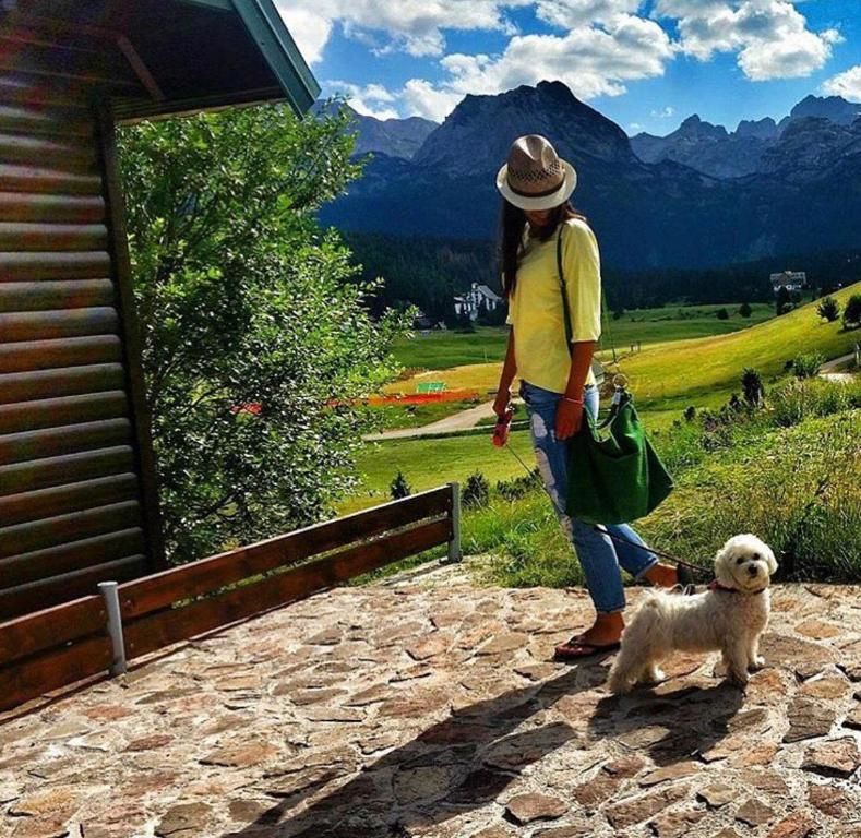 Виллы Villa AMA Жабляк
