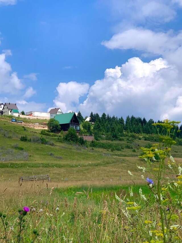 Виллы Villa AMA Жабляк-4